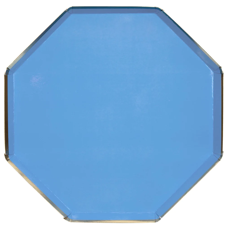 Blue Dinner Plates (x8)